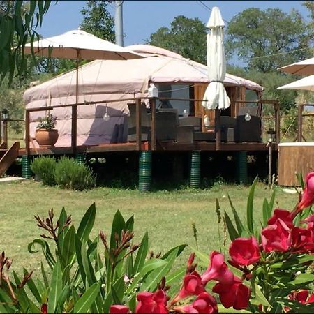 Glamping Abruzzo - The Yurt Catignano Exterior foto