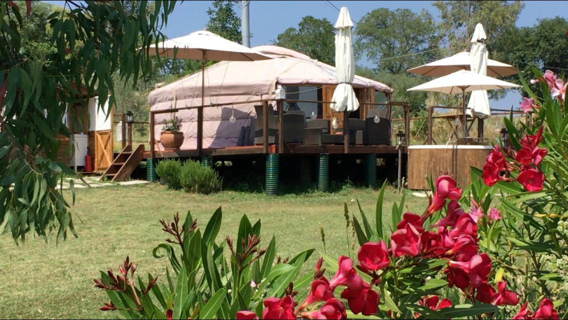 Glamping Abruzzo - The Yurt Catignano Exterior foto