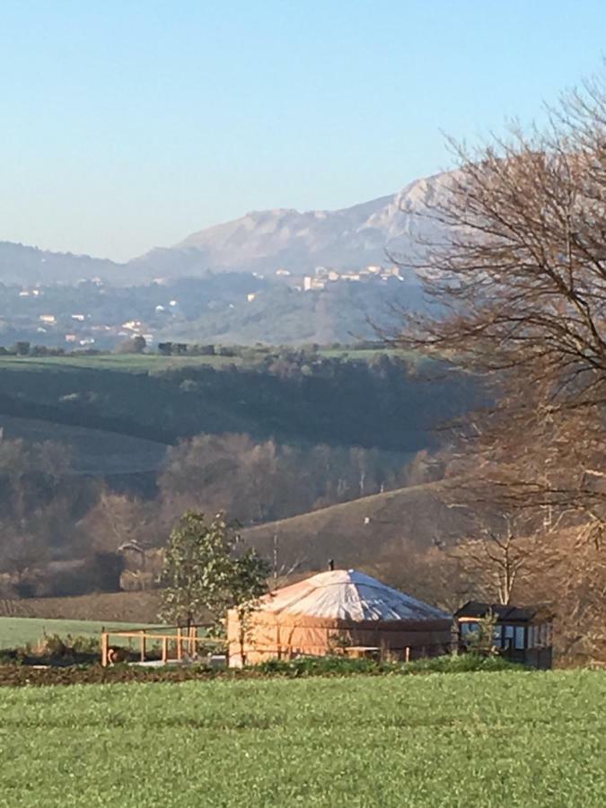 Glamping Abruzzo - The Yurt Catignano Exterior foto